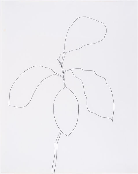 Orange, Ellsworth Kelly (American, Newburgh, New York 1923–2015 Spencertown, New York), Graphite on paper 