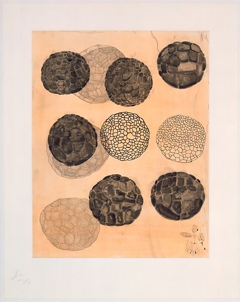 Album (2), from the ¦Album¦ portfolio, Terry Winters (American, born Brooklyn, New York, 1949), Etching (artist's proof 3/10) 