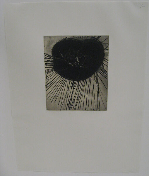 Fourteen Etchings 1, from the ¦Fourteen Etchings¦ portfolio, Terry Winters (American, born Brooklyn, New York, 1949), Lift ground and spit bite aquatint, printed chine collé 