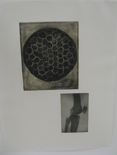 Fourteen Etchings 13, from the <i>Fourteen Etchings</i> portfolio