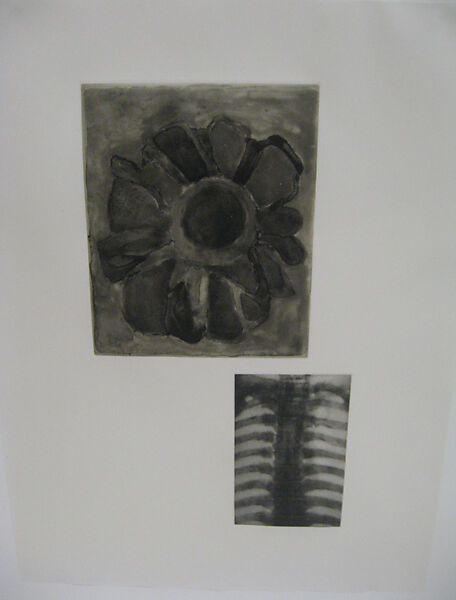Fourteen Etchings 4, from the ¦Fourteen Etchings¦ portfolio, Terry Winters (American, born Brooklyn, New York, 1949), Spit bite aquatint, printed chine collé, and photogravure 
