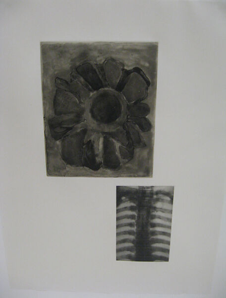 Fourteen Etchings 4, from the ¦Fourteen Etchings¦ portfolio, Terry Winters  American, Spit bite aquatint, printed chine collé, and photogravure