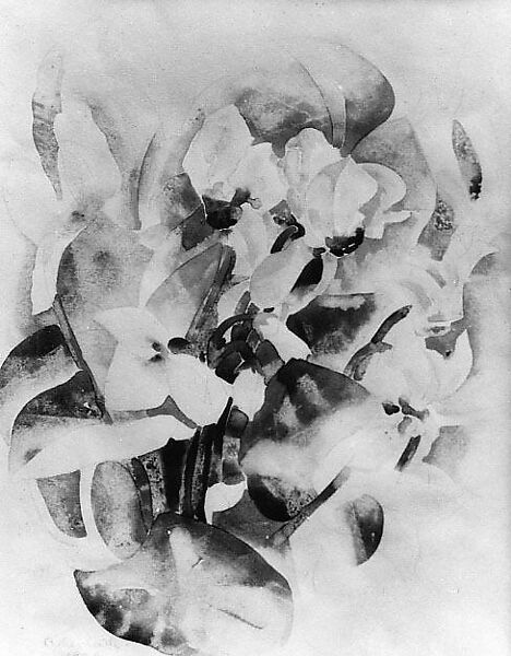 Cyclamen, Charles Demuth (American, Lancaster, Pennsylvania 1883–1935 Lancaster, Pennsylvania), Watercolor and graphite on paper 