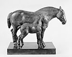 Percheron Mare: Messaline and Foal