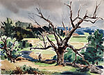 Near Wittenburg (New York)