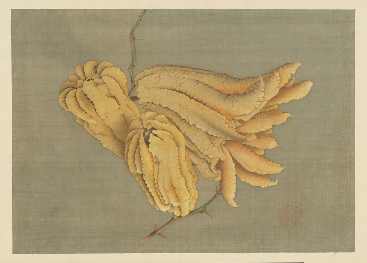 Buddha’s Hand Citron (Busshukan), Formerly attributed to Katsushika Hokusai (Japanese, Tokyo (Edo) 1760–1849 Tokyo (Edo)), Matted painting; ink and color on silk, Japan 