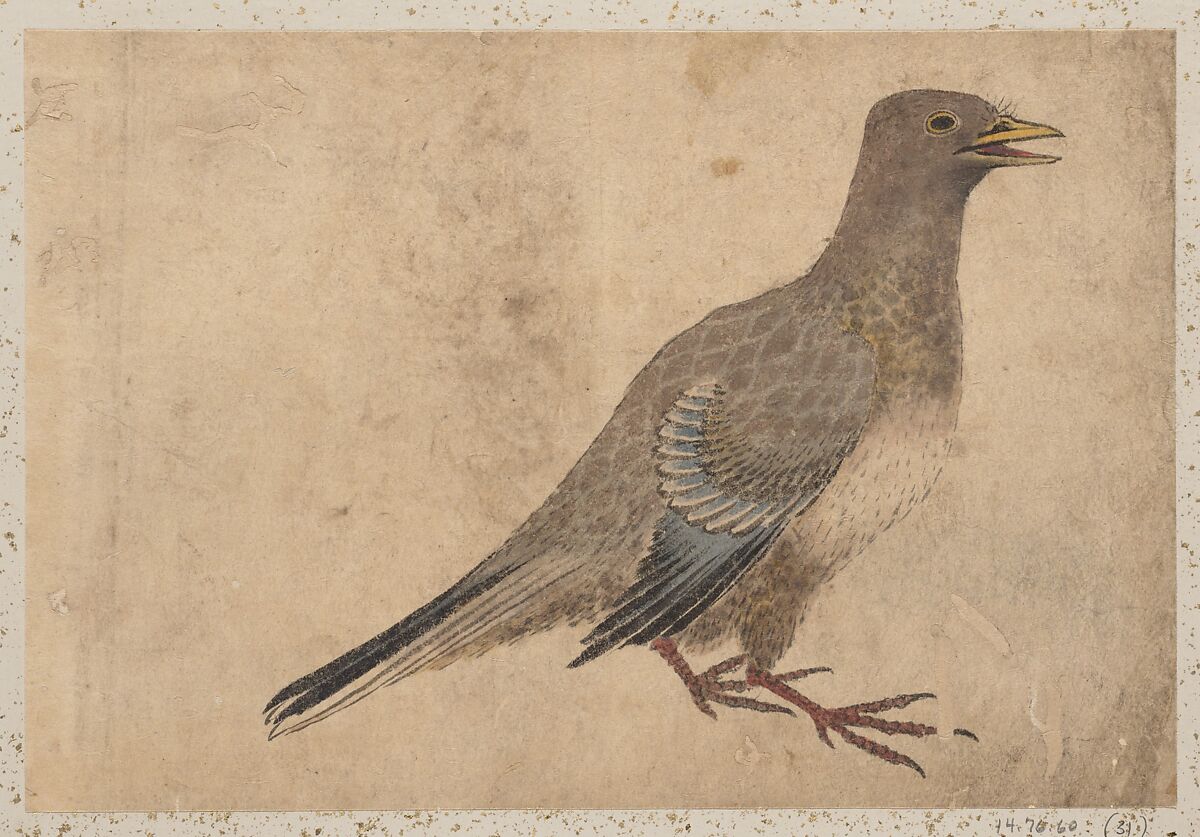 Album of Sketches by Katsushika Hokusai and His Disciples, Katsushika Hokusai (Japanese, Tokyo (Edo) 1760–1849 Tokyo (Edo)) and others, Album of one hundred and nine leaves; ink on paper, ink and color on paper, Japan