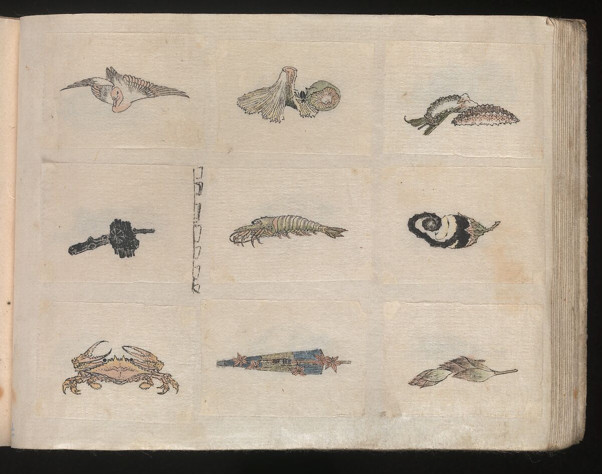 Miniature Drawings for Craftspeople, Katsushika Hokusai (Japanese, Tokyo (Edo) 1760–1849 Tokyo (Edo)), Two albums pasted with 548 drawings; ink and color on paper, Japan