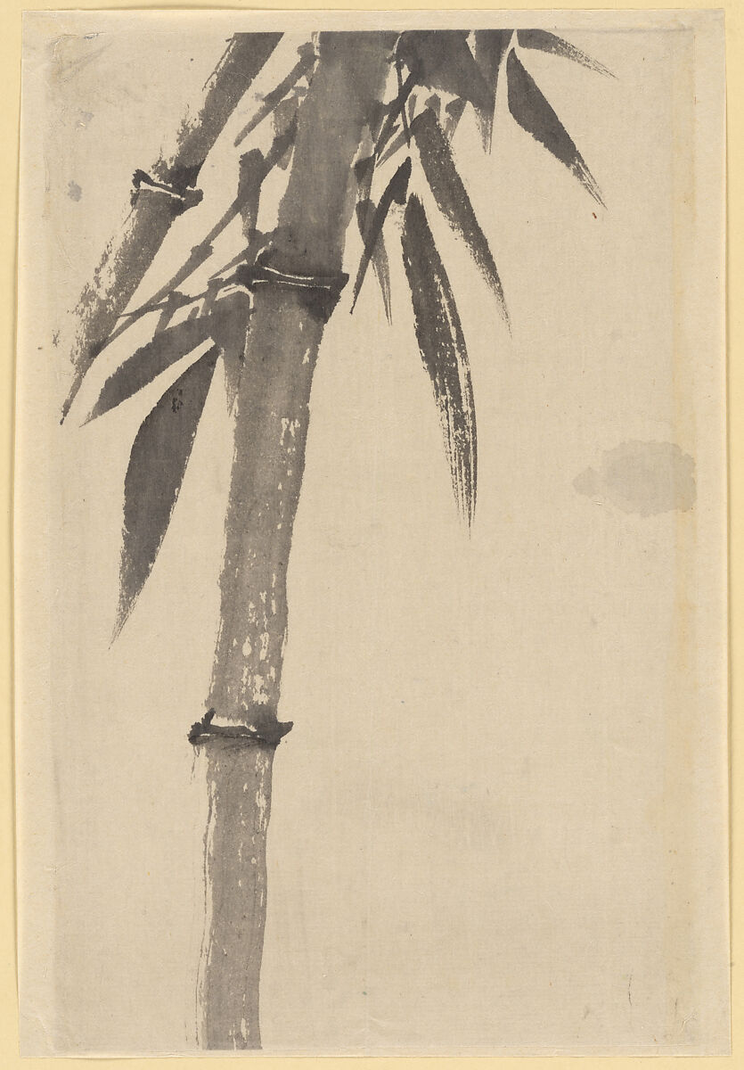 Bamboo, Attributed to Katsushika Hokusai (Japanese, Tokyo (Edo) 1760–1849 Tokyo (Edo)), Unmounted painting; ink on paper, Japan 