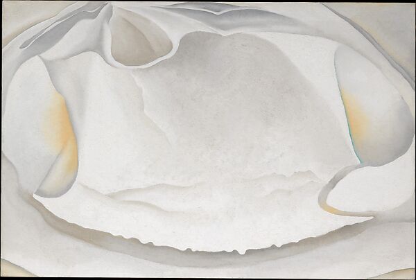 Clam Shell, Georgia O&#39;Keeffe (American, Sun Prairie, Wisconsin 1887–1986 Santa Fe, New Mexico), Oil on canvas 