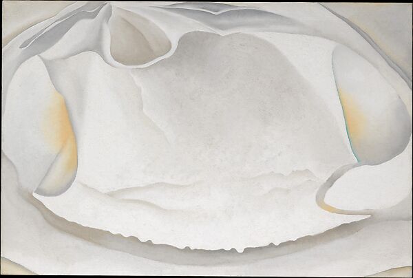 Clam Shell, Georgia O'Keeffe  American, Oil on canvas