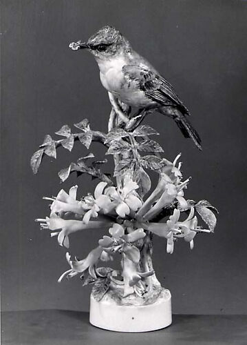 Bird (female phoebe)