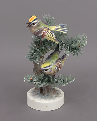 Golden Crowned Kinglets and Noble Pine
