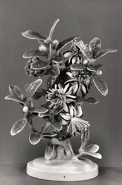 Plants (Mexican feijoa), Dorothy Doughty (British, 1893–1963), Bone china 