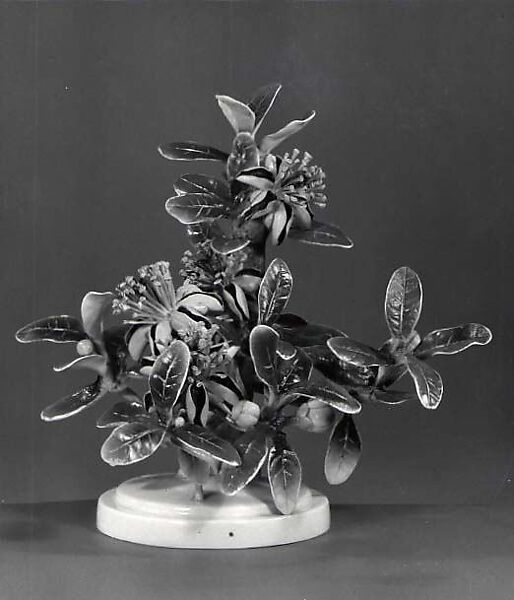 Plants (Mexican feijoa), Dorothy Doughty (British, 1893–1963), Bone china 
