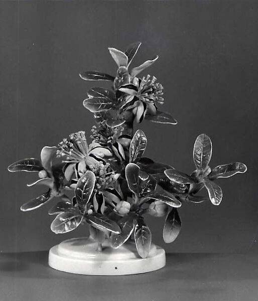 Mexican Feijoa and Ladybird, Dorothy Doughty (British, 1893–1963), Glazed bone china 