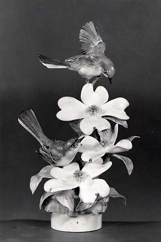 Birds (two gnatcatchers)