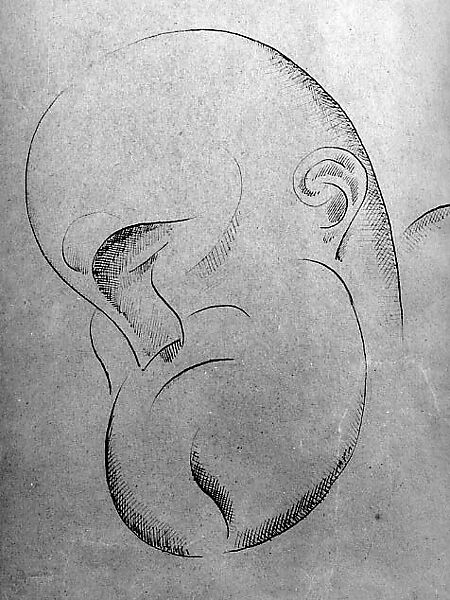 Caricature of a Man, Elie Nadelman (American (born Poland), Warsaw 1882–1946 Riverdale, New York), Pen and black ink on paper 