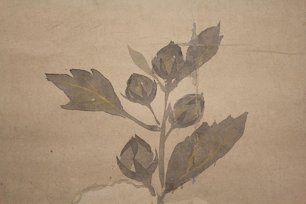 White Hollyhocks, In the Style of Tawaraya Sōtatsu (Japanese, ca. 1570–ca. 1640), Hanging scroll; ink and color on paper, Japan