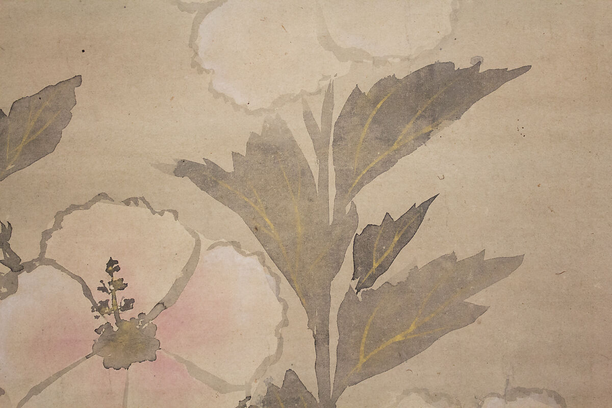 White Hollyhocks, In the Style of Tawaraya Sōtatsu (Japanese, ca. 1570–ca. 1640), Hanging scroll; ink and color on paper, Japan