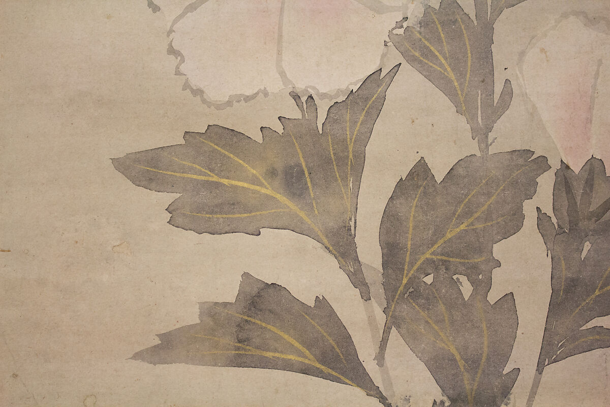 White Hollyhocks, In the Style of Tawaraya Sōtatsu (Japanese, ca. 1570–ca. 1640), Hanging scroll; ink and color on paper, Japan