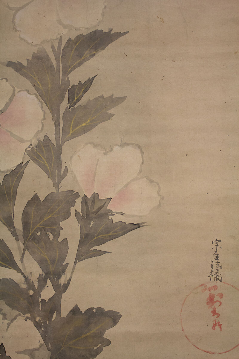 White Hollyhocks, In the Style of Tawaraya Sōtatsu (Japanese, ca. 1570–ca. 1640), Hanging scroll; ink and color on paper, Japan