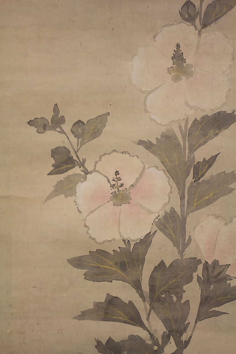 White Hollyhocks, In the Style of Tawaraya Sōtatsu (Japanese, ca. 1570–ca. 1640), Hanging scroll; ink and color on paper, Japan