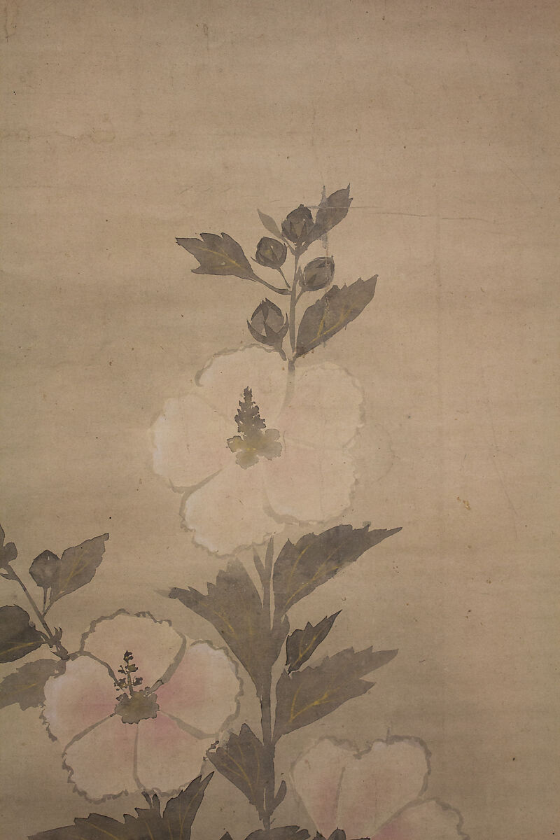 White Hollyhocks, In the Style of Tawaraya Sōtatsu (Japanese, ca. 1570–ca. 1640), Hanging scroll; ink and color on paper, Japan