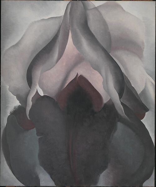Black Iris, Georgia O&#39;Keeffe (American, Sun Prairie, Wisconsin 1887–1986 Santa Fe, New Mexico), Oil on canvas 