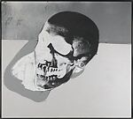 Skull, Andy Warhol  American, Acrylic and silkscreen on canvas