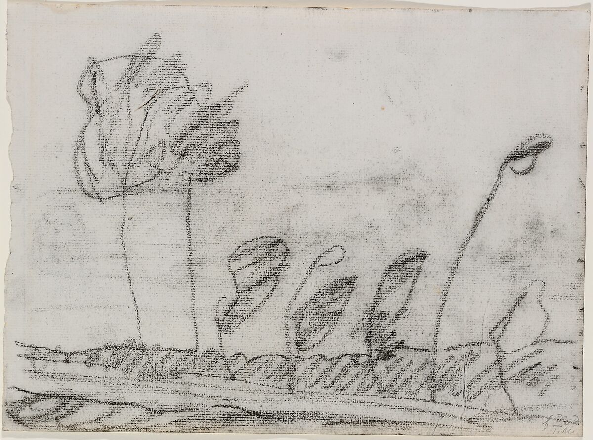 Seven Trees, Paula Modersohn-Becker (German, Dresden 1876–1907 Worpswede), Charcoal on paper 