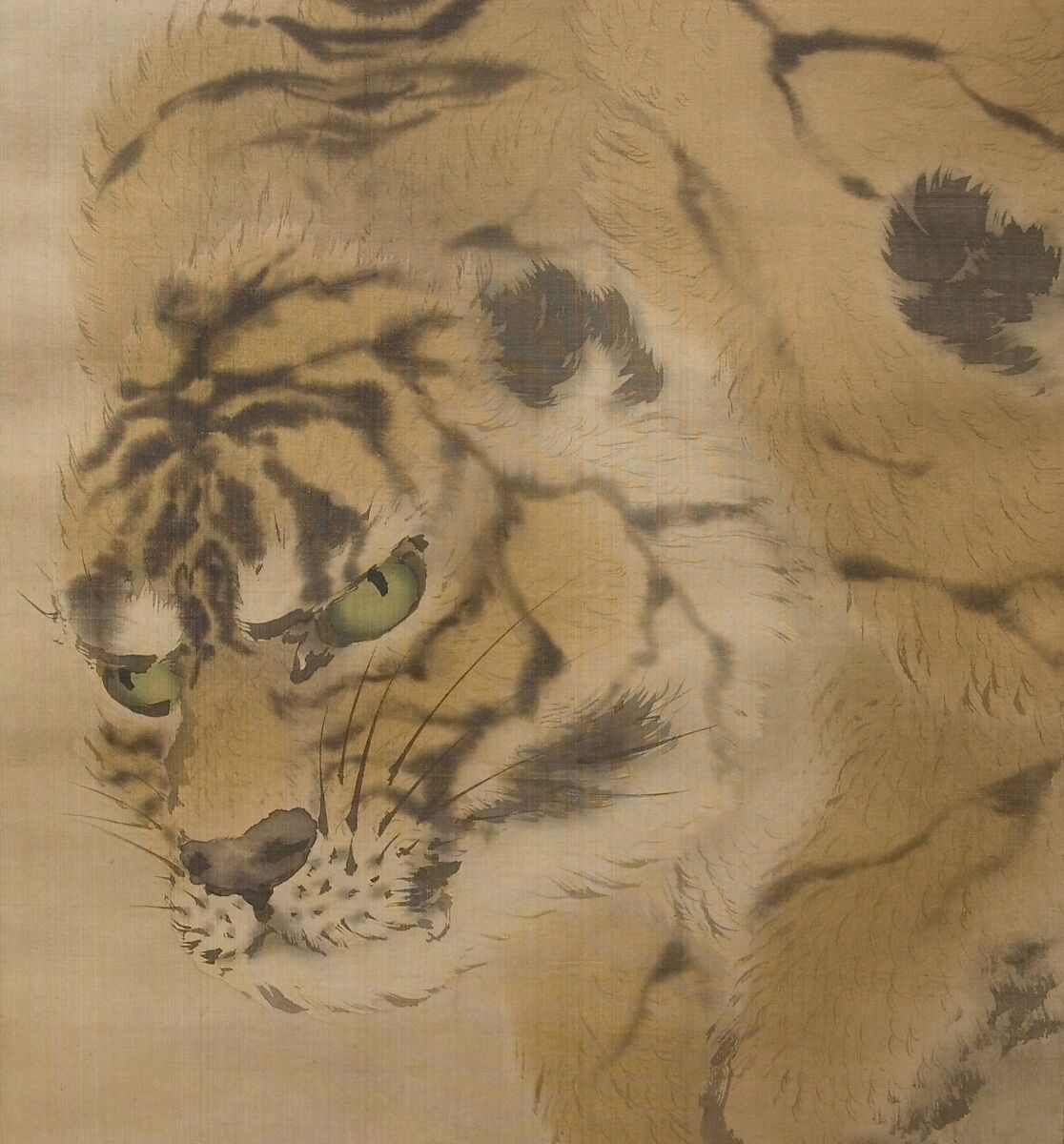 Tiger, Gan Ku (Japanese, 1749–1838), Hanging scroll; ink and color on silk, Japan