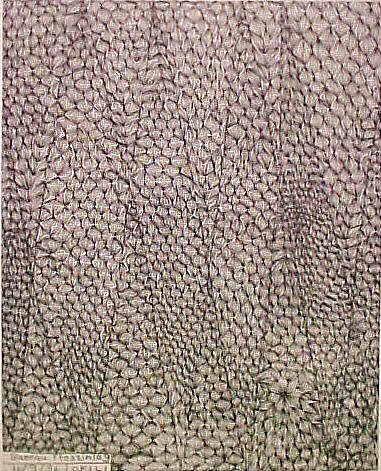 North Wales, Chris Ofili (British, born 1968), Portfolio of 10 etchings