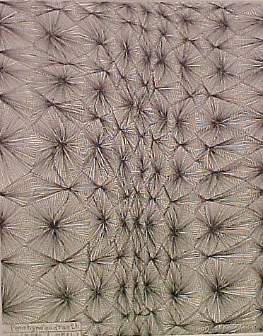 North Wales, Chris Ofili (British, born 1968), Portfolio of 10 etchings