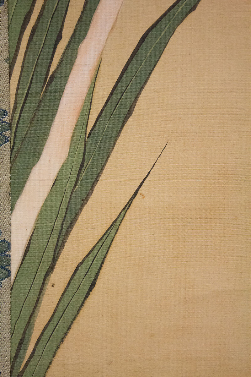 Orchid, Kakutei  (Kaigan Jōkō) (Japanese, 1722–1785), Hanging scroll; ink and color on silk, Japan