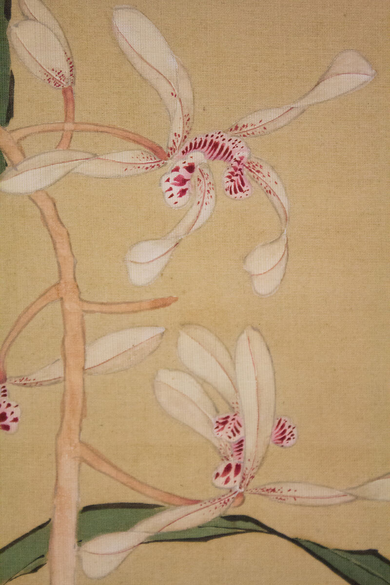 Orchid, Kakutei  (Kaigan Jōkō) (Japanese, 1722–1785), Hanging scroll; ink and color on silk, Japan