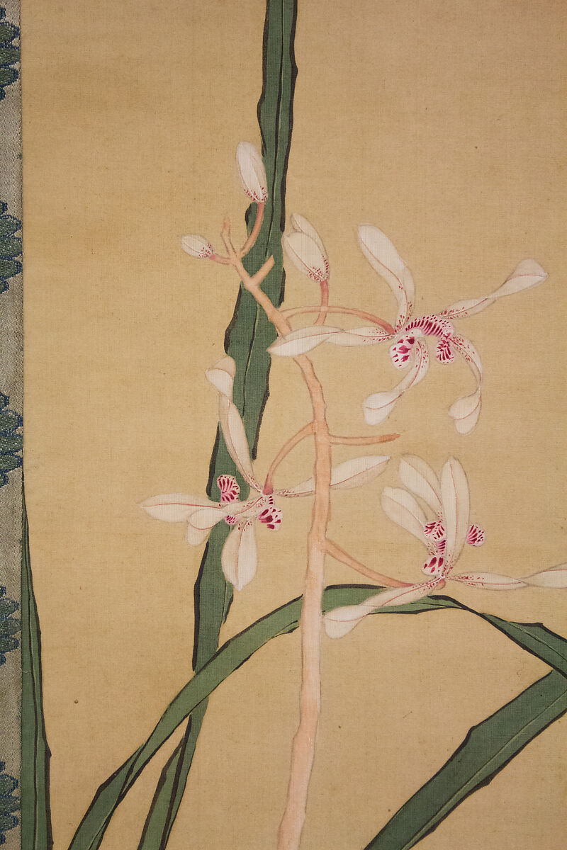 Orchid, Kakutei  (Kaigan Jōkō) (Japanese, 1722–1785), Hanging scroll; ink and color on silk, Japan