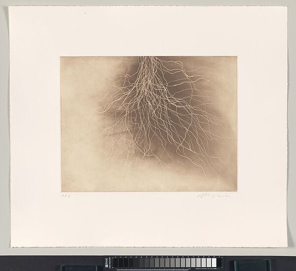 15 Etchings, Anish Kapoor (British born India 1954), Portfolio of 15 etchings, title page, colophon and velvet covered box