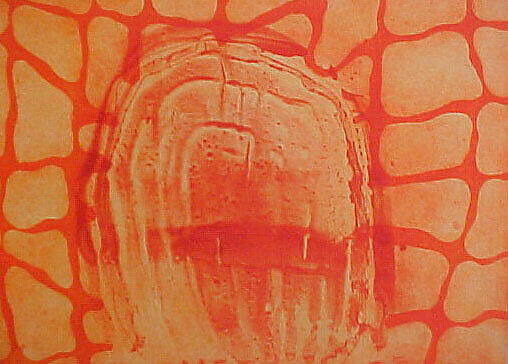 Between Space and Time, Ian McKeever (British, born 1946), Portfolio of 9 etchings, title page, colophon, and portfolio box