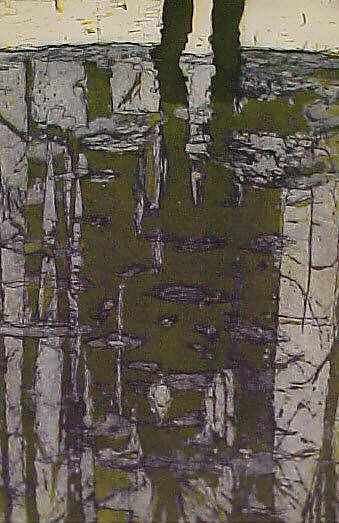 Grasshopper, Peter Doig (British, born Edinburgh, Scotland, 1959), Portfolio of 10 etchings, title page, colophon and box