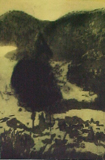 Grasshopper, Peter Doig (British, born Edinburgh, Scotland, 1959), Portfolio of 10 etchings, title page, colophon and box