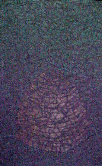 Bee Series, Bill Woodrow (British, born 1948), Color linocuts (ten prints)