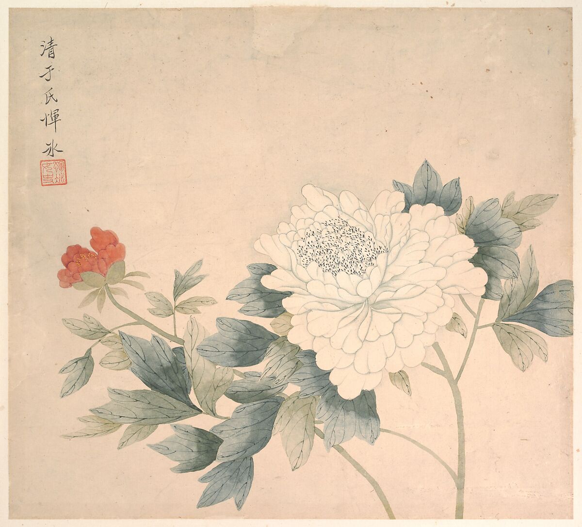 Flower Study, Yun Bing (Chinese, active late 17th– early 18th century), Album leaf; ink and color on paper, China 