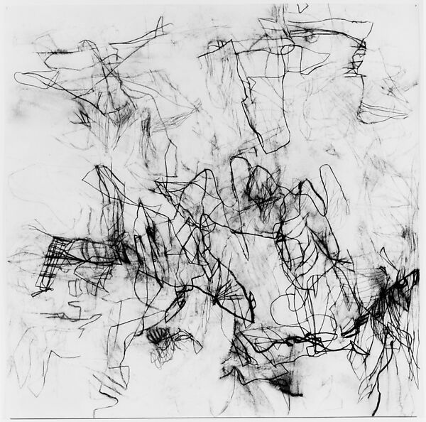 Untitled, Christine Hiebert (American, born Basel, 1960), Charcoal and rabbit skin glue on paper 