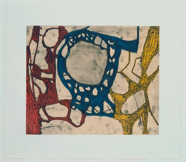 Models for Synthetic Pictures, Terry Winters (American, born Brooklyn, New York, 1949), Portfolio of twelve intaglio prints, each combining open bite etching, soft ground etching, sugar lift aquatint, and spit bite aquatint printed in five colors 