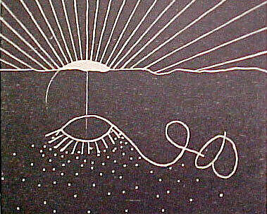 Cane, Martin Puryear (American, born Washington, D.C., 1941), Portfolio of 7 woodblock prints on Japanese paper