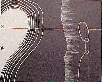 Cane, Martin Puryear (American, born Washington, D.C., 1941), Portfolio of 7 woodblock prints on Japanese paper