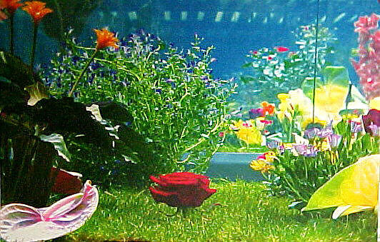 Garden 2, Marc Quinn (British, born 1964), Pigment print 