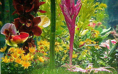 Garden 2, Marc Quinn (British, born 1964), Pigment print 