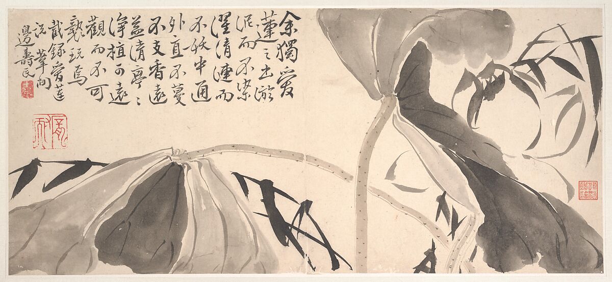 Lotus Leaves and Water Reeds, Bian Shoumin (Chinese, active ca. 1729–50), Album leaf; ink on paper, China 